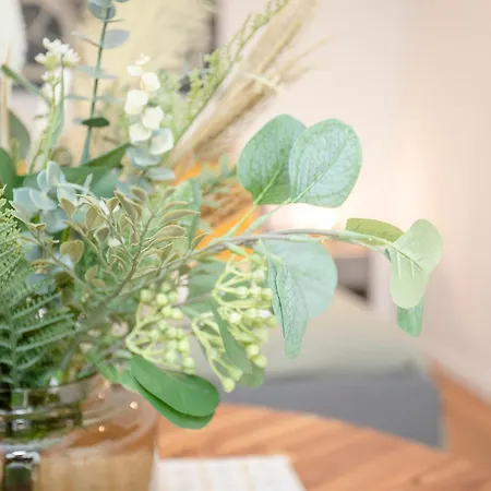 Nax By Liiiving Daire